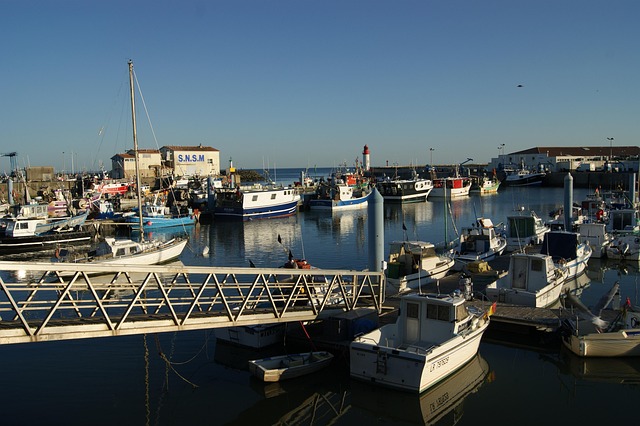 Free Boat Fishing photo and picture