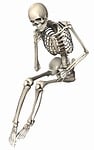 skeleton, sitting, female