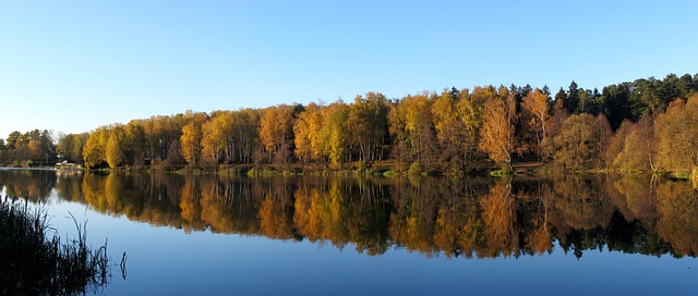 Free Nature Lake photo and picture