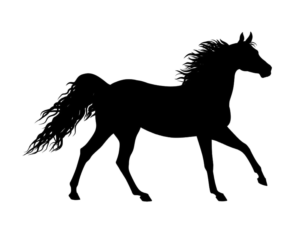 シルエット 馬 動物 Pixabayの無料画像