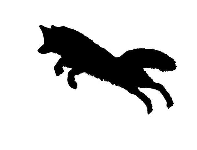 Free silhouette fox jump illustration