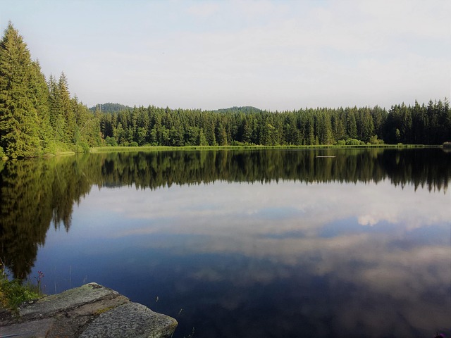 Free Nature Moor photo and picture