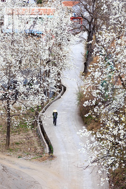 Ewha, Sti, Rejse
