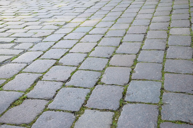Free Road Cobblestone photo and picture