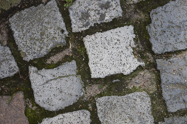 Free Road Cobblestone photo and picture
