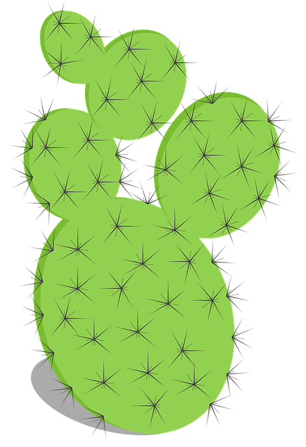 Free Cactus Prickly Pear illustration and picture