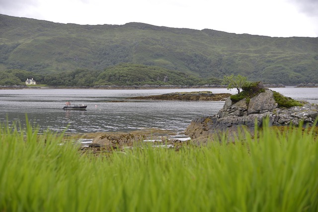 Free Scotland Nature photo and picture