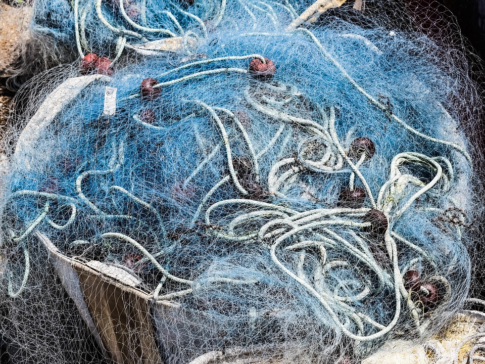 Chasing Shadows: The Thrill of Sailfish Fishing Adventures
