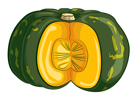 Squash, Frugt, Grøntsag, Kabocha