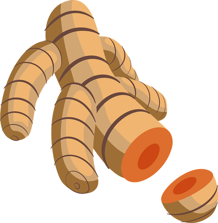 Zerdeçal baharat kök sağlıklı · free vector graphic on pixabay