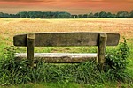bank, meadow, park