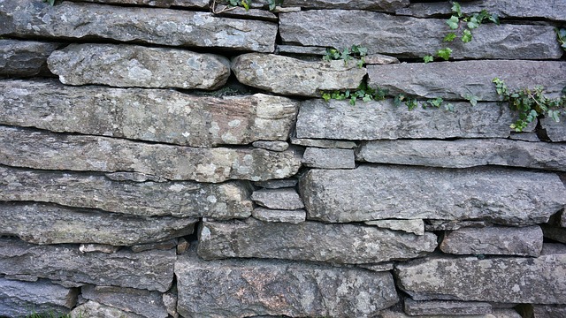 Free Stone Wall Nature photo and picture