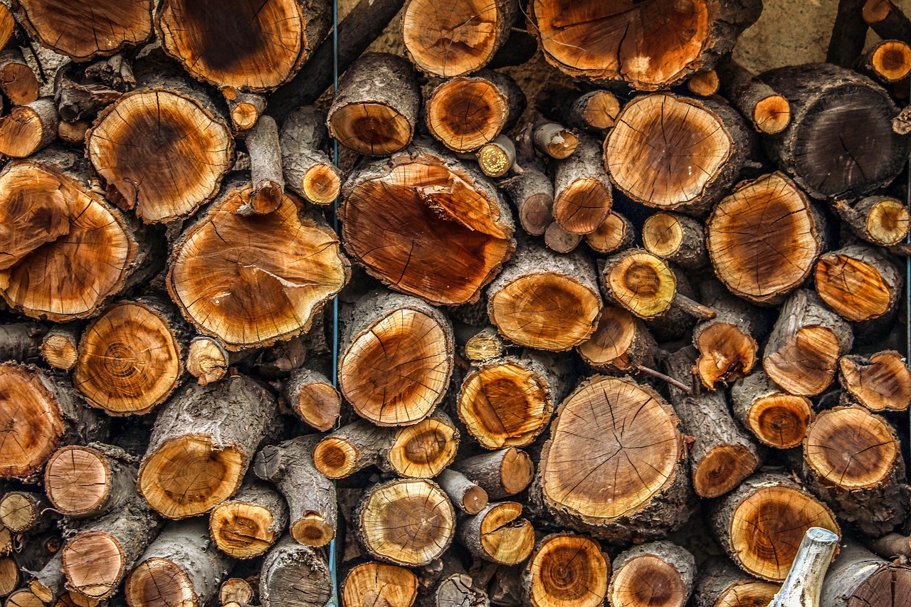 Wood - free online jigsaw puzzle photo