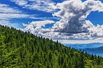 bavarian forest, forest, sky