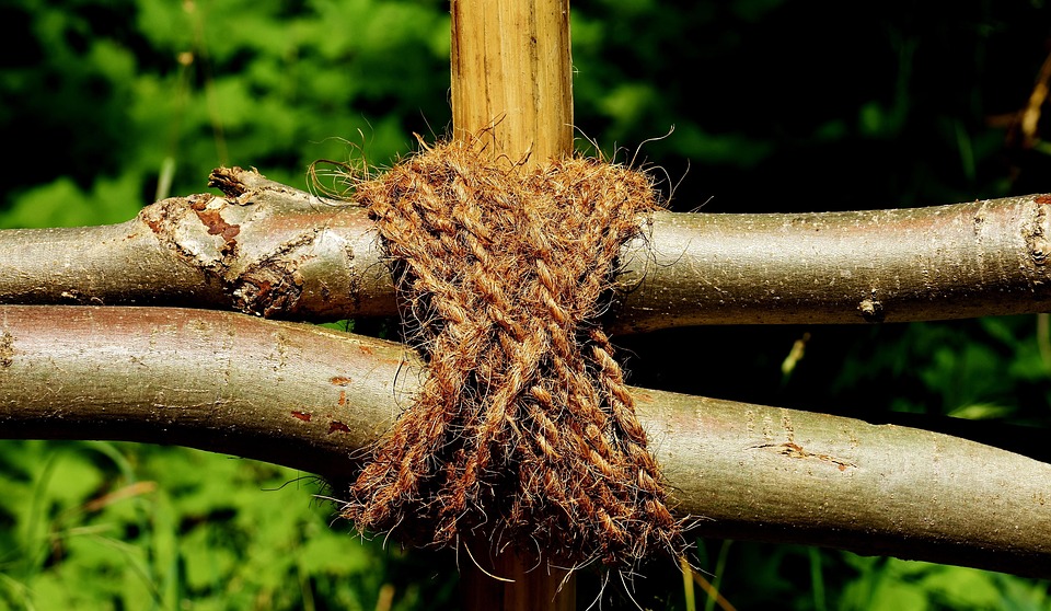 Aesthetic Rope Tied Together · Free photo on Pixabay