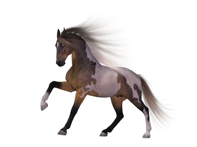 Free horse nature brown illustration