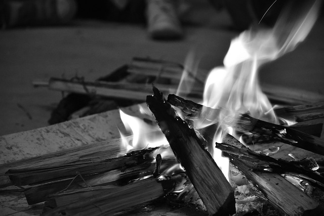 Free Wood In Flames Night photo and picture