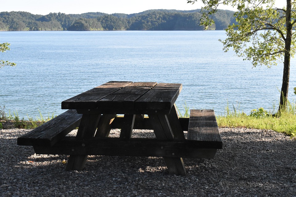Picnic, Picnic Table, Outdoor Lunch
