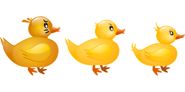 Free duck nature animal illustration