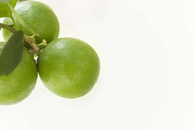 Free Lemon Health photo and picture