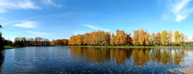Free Autumn Sky photo and picture