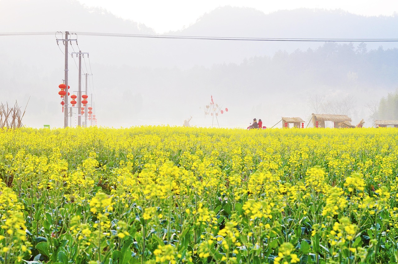 90,000+ Free 春天风景图 & Spring Images - Pixabay