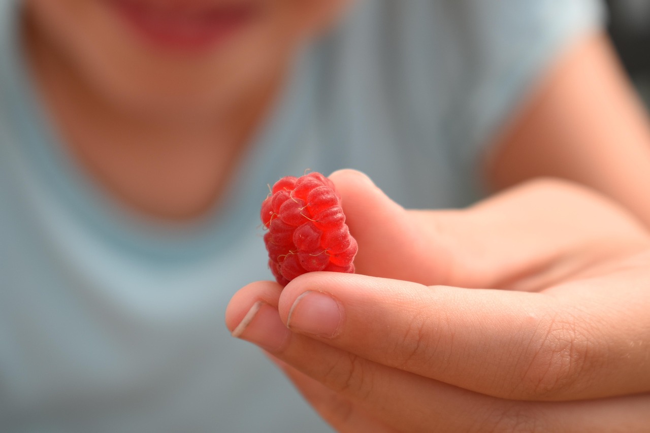 Raspberry Giving Berry Free photo on Pixabay Pixabay