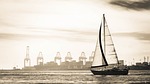 sail boat, ocean, black and hite