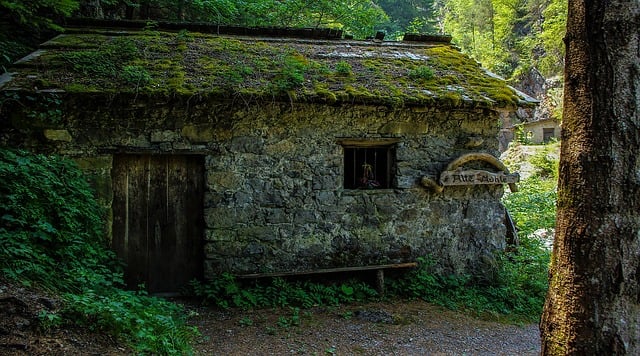 Free old house mill illustration