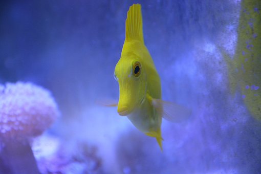 Aquaristik gmbh mit eu-lizenz kaufen gmbh geschäftsanteile kaufen gmbh mantel kaufen preis Aquaristik firmenmantel kaufen gesellschaft kaufen gesucht