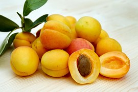 Fruits Abricots Provence Photo Gratuite Sur Pixabay fruits-abricots-provence-photo-gratuite-sur-pixabay