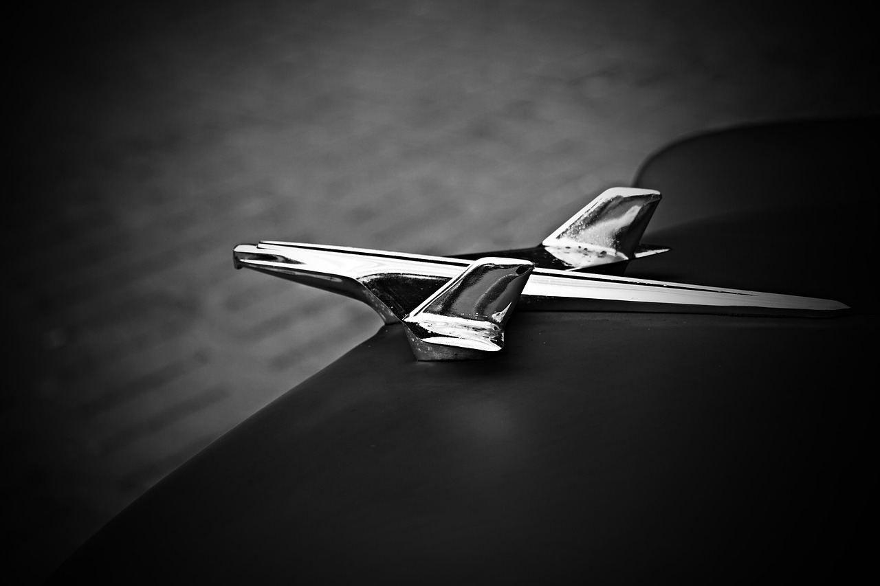 Hood Ornament - free online jigsaw puzzle photo