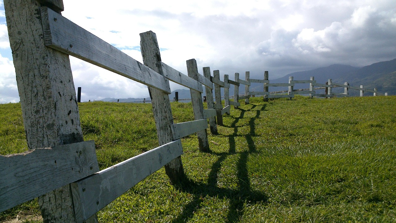 Walking Path Railing 超过 30000 张关于“Path With Railing”和“小路”的免费图片 - Pixabay