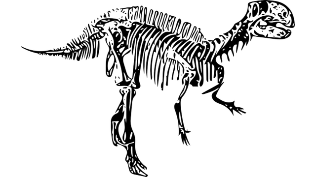 Free dinosaur fossil fukui city illustration