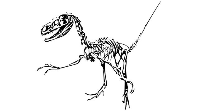 Free dinosaur fossil fukui city illustration