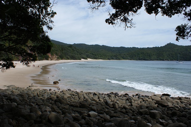 Free New Zealand New Chums Beach photo and picture