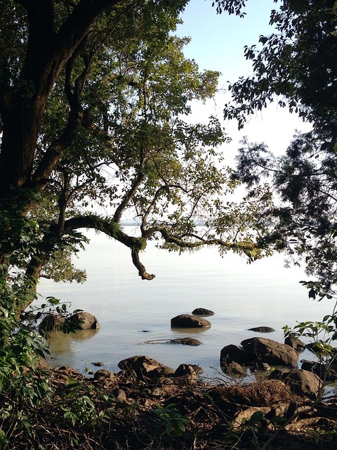 Free Lake Riverbank photo and picture