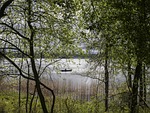 lake, the boatman, landscape