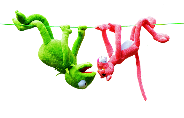 500+ Free Kermit &amp; Fun Images