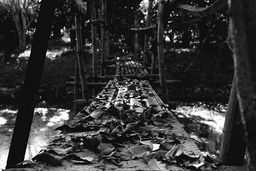 Brücke, Blätter, Schwarz Und Weiß