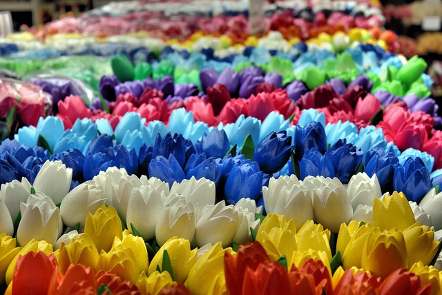 amsterdam, beautiful flowers, flower wallpaper, flowers, wood, dutch, flower background, colorful, nature, floral, tulip