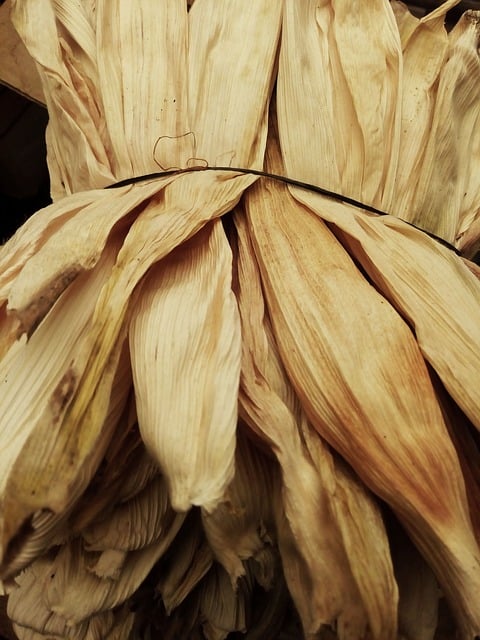 Blade Tamale, Kornmark, Kolber