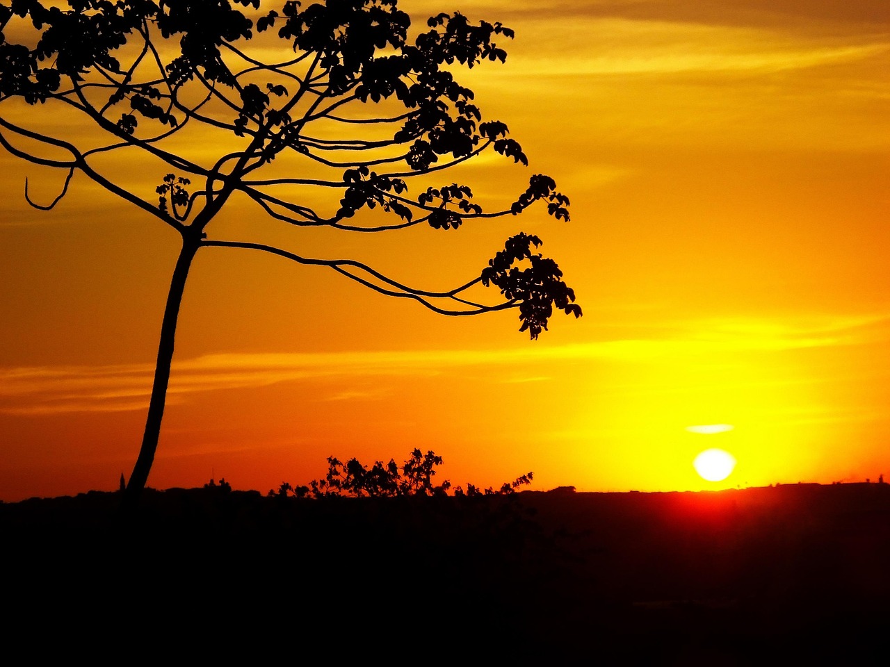 Horizonte Pôr-Do-Sol Paisagem - Foto gratuita no Pixabay - Pixabay