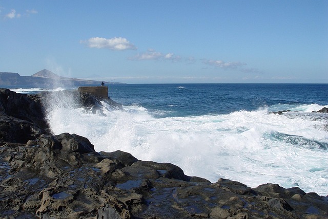Free Fishing Sea photo and picture