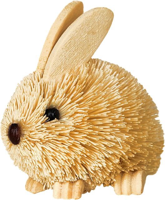 Free Isolated Rabbit photo and picture