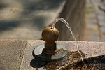 fountain, gargoyle, water jet