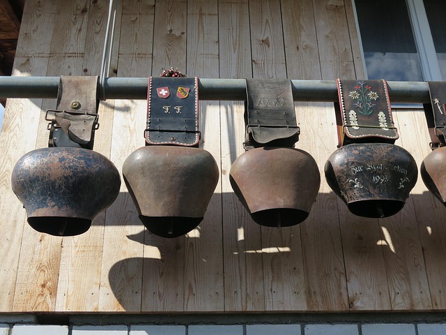 Free Koeienbel Switzerland photo and picture
