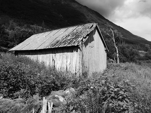 Free Barn Norway photo and picture