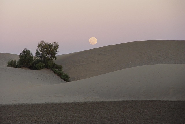 Free Feminine Moon photo and picture