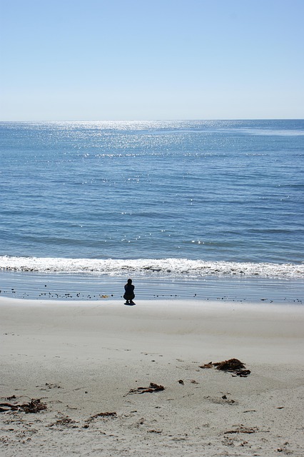 Free Meditation Sea photo and picture